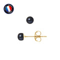 PERLINEA- Boucle d'Oreilles- Perles de Culture d'Eau Douce Bouton 4-5 mm Black Tahiti- Bijou Femme- OrJaune