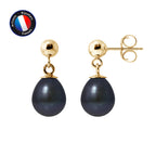 PERLINEA- Boucle d'Oreilles - Perles de Culture d'Eau Douce- Diamètre 7-8 mm Black Tahiti- Bijou Femme- OrJaune